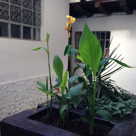 Hostel Chacha International Chachapoyas Zewnętrze zdjęcie