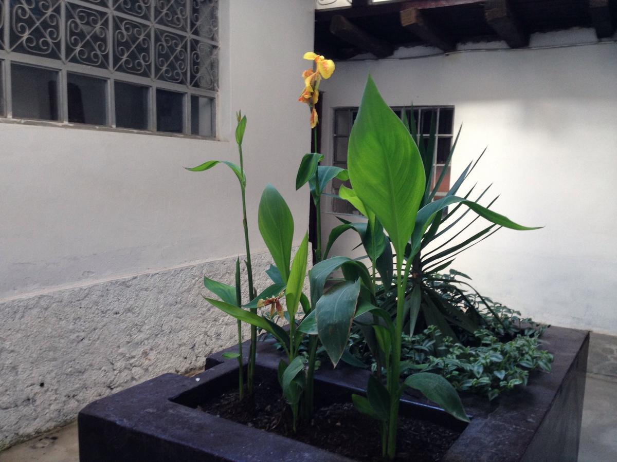 Hostel Chacha International Chachapoyas Zewnętrze zdjęcie